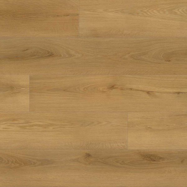 Essential Amber Oak