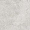 gaiši pelēka