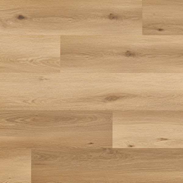Woodric Eir ACU Cavaillon Oak Click
