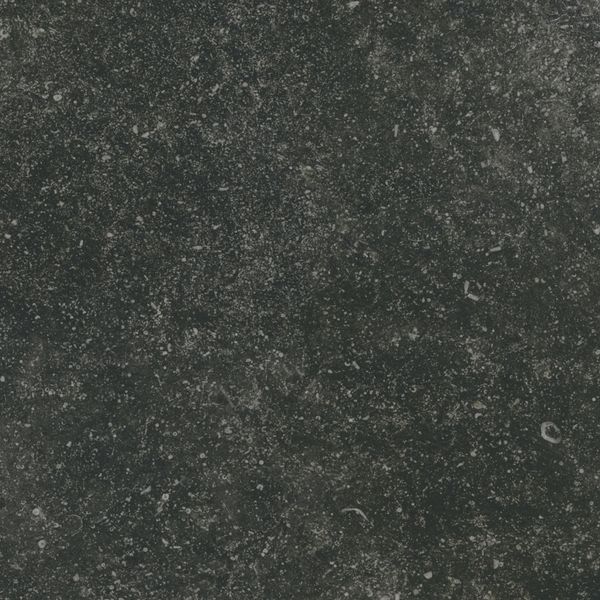 Belgio Negro Semi.