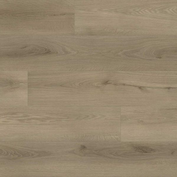 Essential Warm Graphite