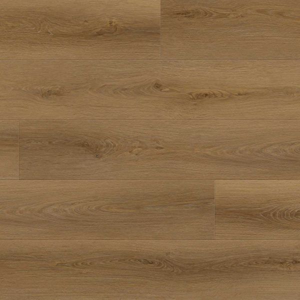 Essential Almond Grove