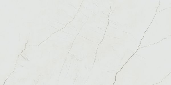 Desert Natural Levi.